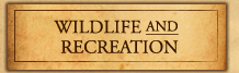 Wildlife and Recreation