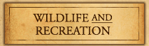 Wildlife and Recreation