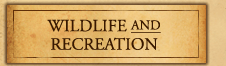 Wildlife and Recreation