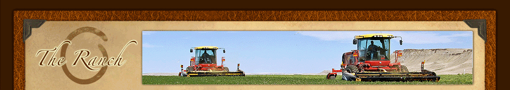 The Broken O Ranch - A grand Montana ranch for sale